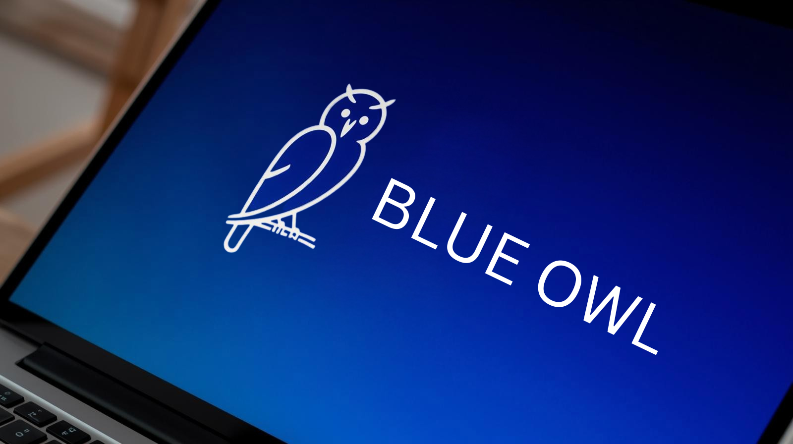 blue owl